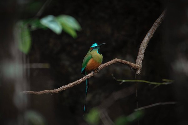 Libérez votre potentiel d'entrepreneur : Découvrez le secret de la réussite professionnelle