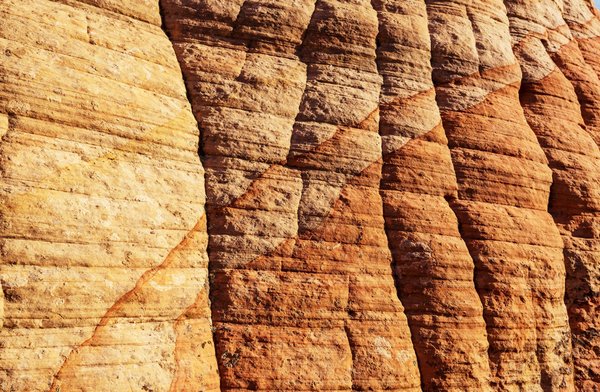 Pourquoi miser sur une formation en naturopathie ?