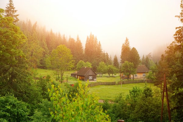 Comment participer à l'initiative 'Into The Green'?